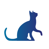 KEDİ ÜRÜNLERİ